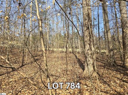 Lot 784 S Hogan Drive