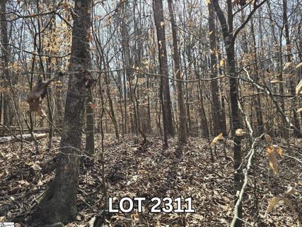 Lot 2311 S Hogan Drive