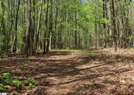 23 Belk Road active home in Burban Creek Plantation, Travelers Rest, SC