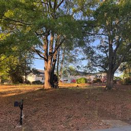 131 Shallowford Road