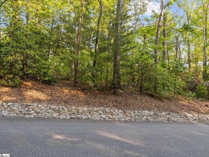 5 Rhone Valley Circle active home in Crescent Mountain Vineyard, Travelers Rest, SC