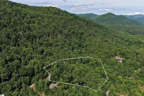 220 Painter Creek Road active home in Cliffs Valley, Travelers Rest, SC