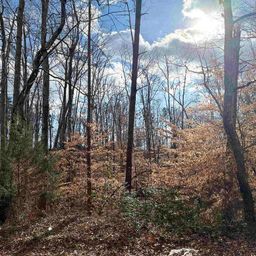128 Willow Pond Lane