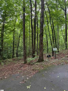 125 Cottage Side Trail active home in Cliffs Valley, Travelers Rest, SC