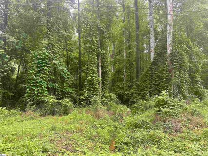 00 Dacusville Road