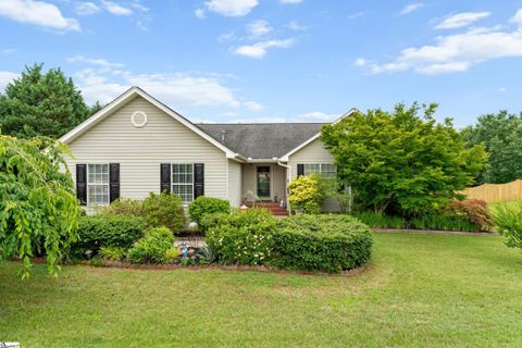 Homes in Panorama Farms, Greer