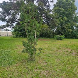 201/203 Dillon Drive