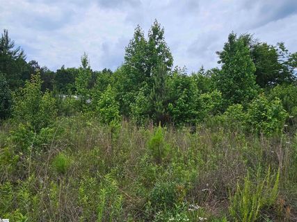 144 Colleton Lane active home in Blossom Meadows, Clinton, SC