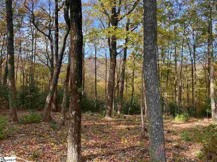 1526 Panther Park Trail active home in Cliffs Valley, Travelers Rest, SC