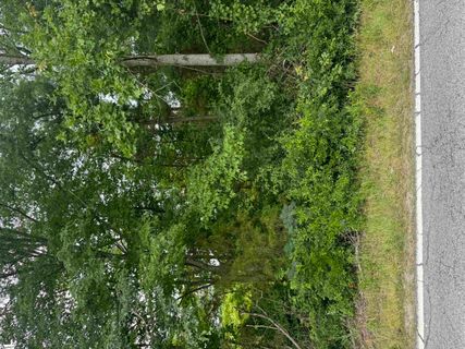 1593 Old Anderson Mill Road