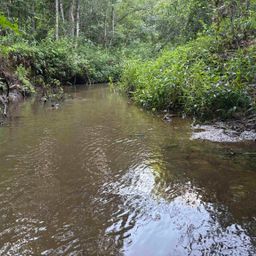 00 N Little River Road