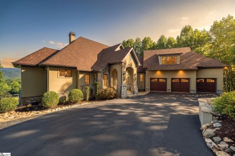 Homes in Crescent Mountain Vineyard, Travelers Rest