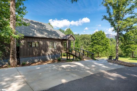 Homes in New Town Mount, Pickens