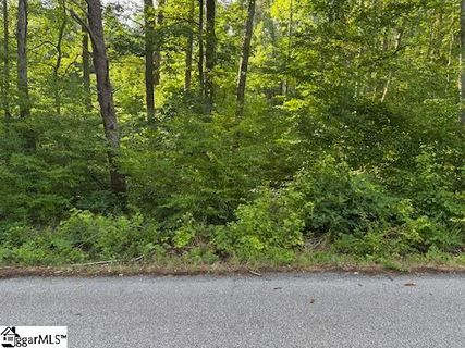 0 Lockhart Drive active home in Lake Lanier, Landrum, SC