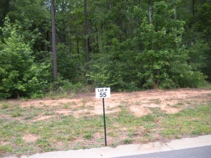 373 Roy Hall Way (Lot 55)