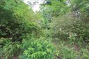 Lot 175 Hawthorn Ave sold home in Woodruff, SC