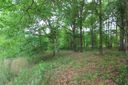 Lot 176 Hawthorn Ave sold home in Woodruff, SC