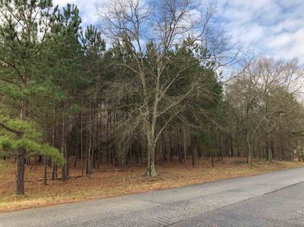 250 Saranac Drive sold home in Lake Saranac, Spartanburg, SC
