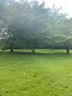 100 Plateau St sold home in Moore, SC