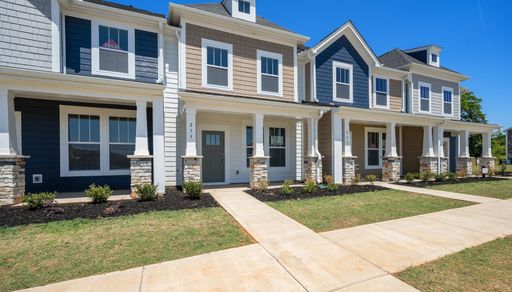 239 Dalmatian Drive