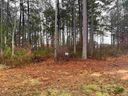 555 Canewood Ln. sold home in Campobello, SC