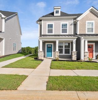 151 Dalmatian Drive