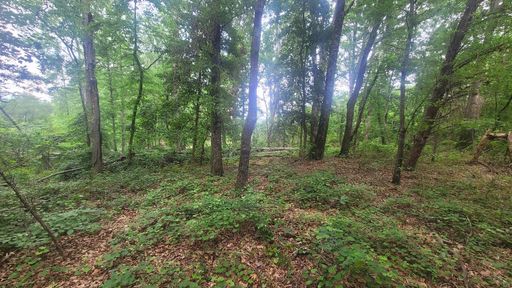 1429 Casey Creek Rd