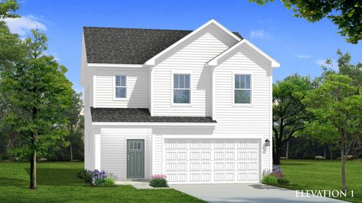 389 Amaryllis Lane