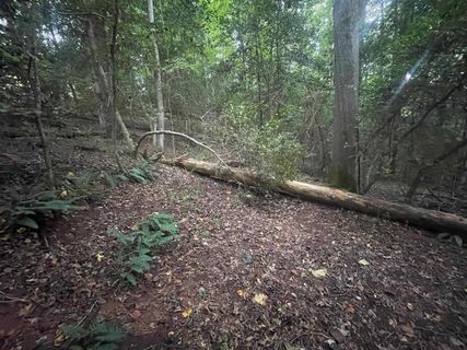 183 Walhalla Highway