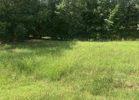 403 Bent Creek Road