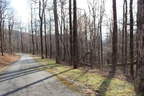 Lot 20 Sunset Ridge Drive