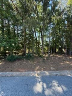 213 S Carleila Lake Way sold home in Brookfield, Spartanburg, SC