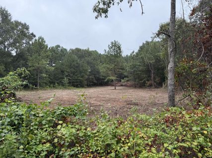 229 Holly Road
