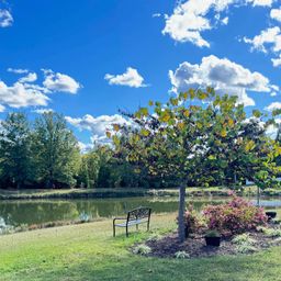 432 Savanna Plains Drive