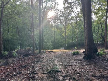 00 E Lakeshore Drive active home in Lake Lanier, Landrum, SC