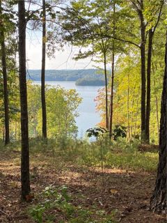 555 Leaning Pine Trail