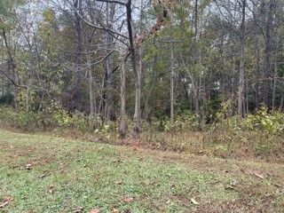217 Winding Oaks Drive