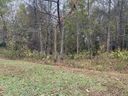 217 Winding Oaks Drive sold home in Seneca, SC