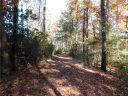 130 Cliffs Falls Parkway sold home in Salem, SC