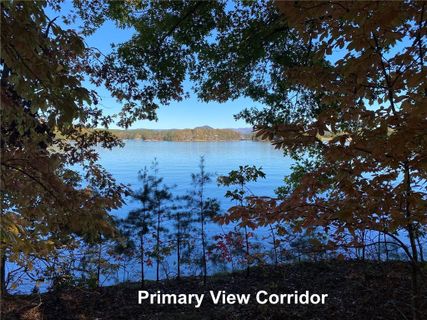 108 Mountain Shore Trail 51