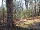 317 Whispering Falls Drive sold home in Pickens, SC