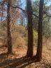231 & 232 Greenmeadow Circle sold home in Anderson, SC