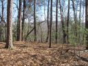 111 Oolenoy Court sold home in Pickens, SC