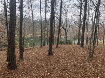 119 Bright Water Trail