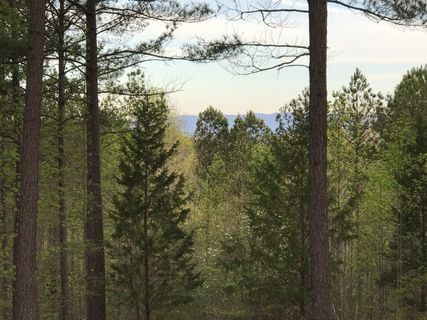 106 Edgestone Way