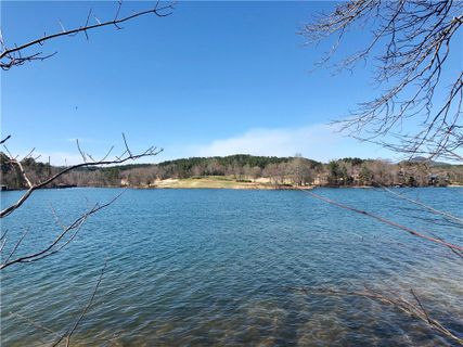 440 Pileated Woodpecker Lane