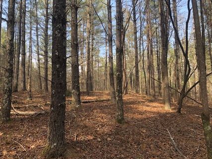 101 Dutchman'S Pipe Trail active home in Cliffs At Keowee Vineyards, Sunset, SC
