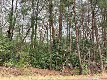 322 Gauley Falls Road