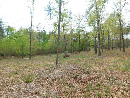 Lot 3 Old Chapman Bridge Road active home in Cliffs At Keowee Falls South, Salem, SC