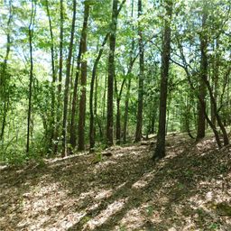 250 Cliffs Falls Parkway